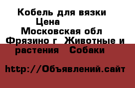 Кобель для вязки › Цена ­ 5 000 - Московская обл., Фрязино г. Животные и растения » Собаки   